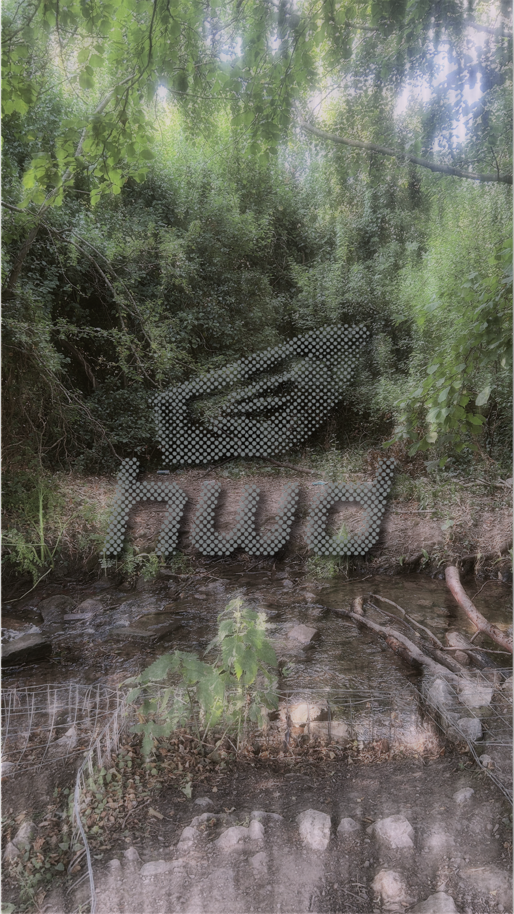Free iPhone Wallpaper Download
