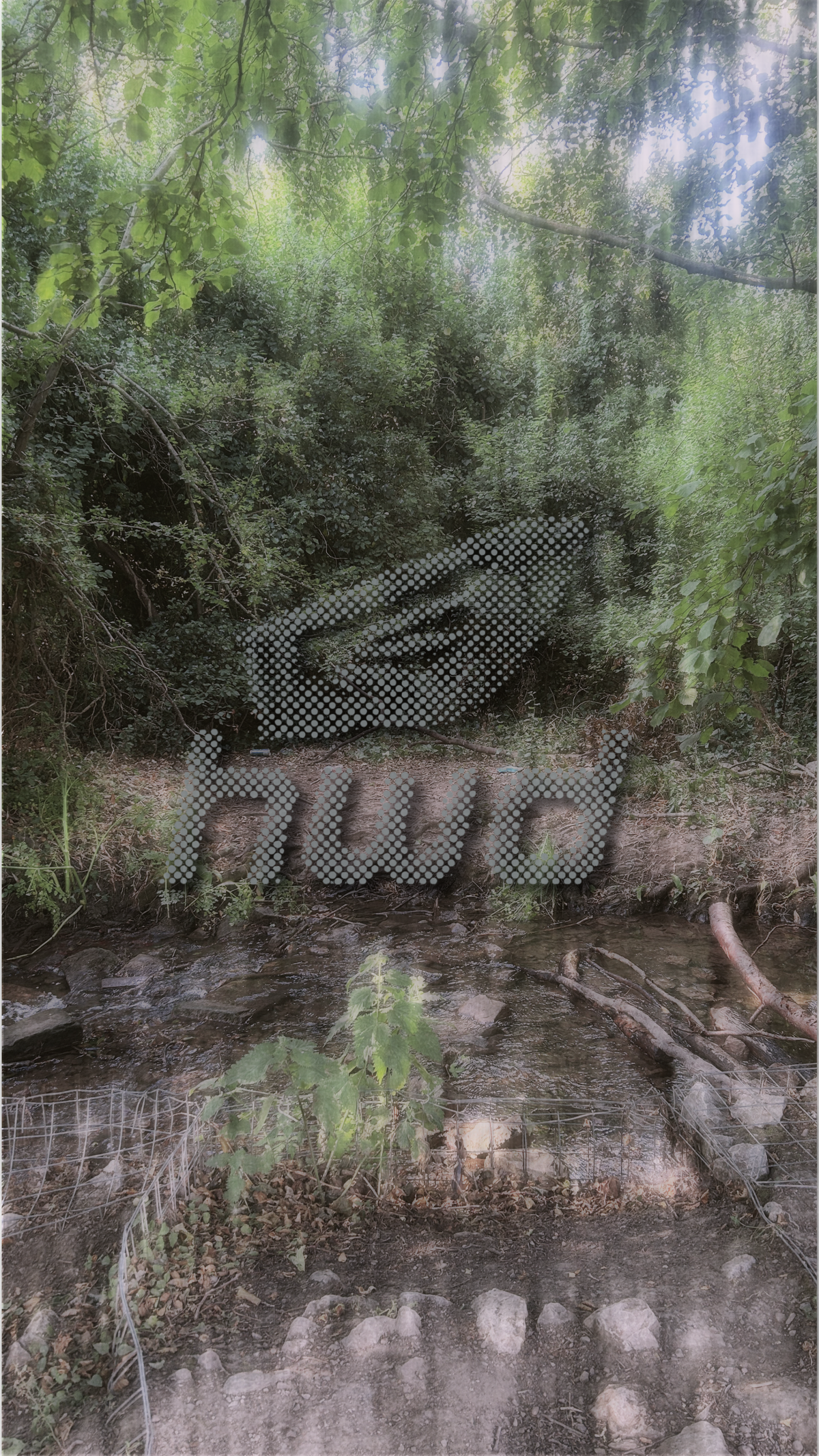 Free iPhone Wallpaper Download