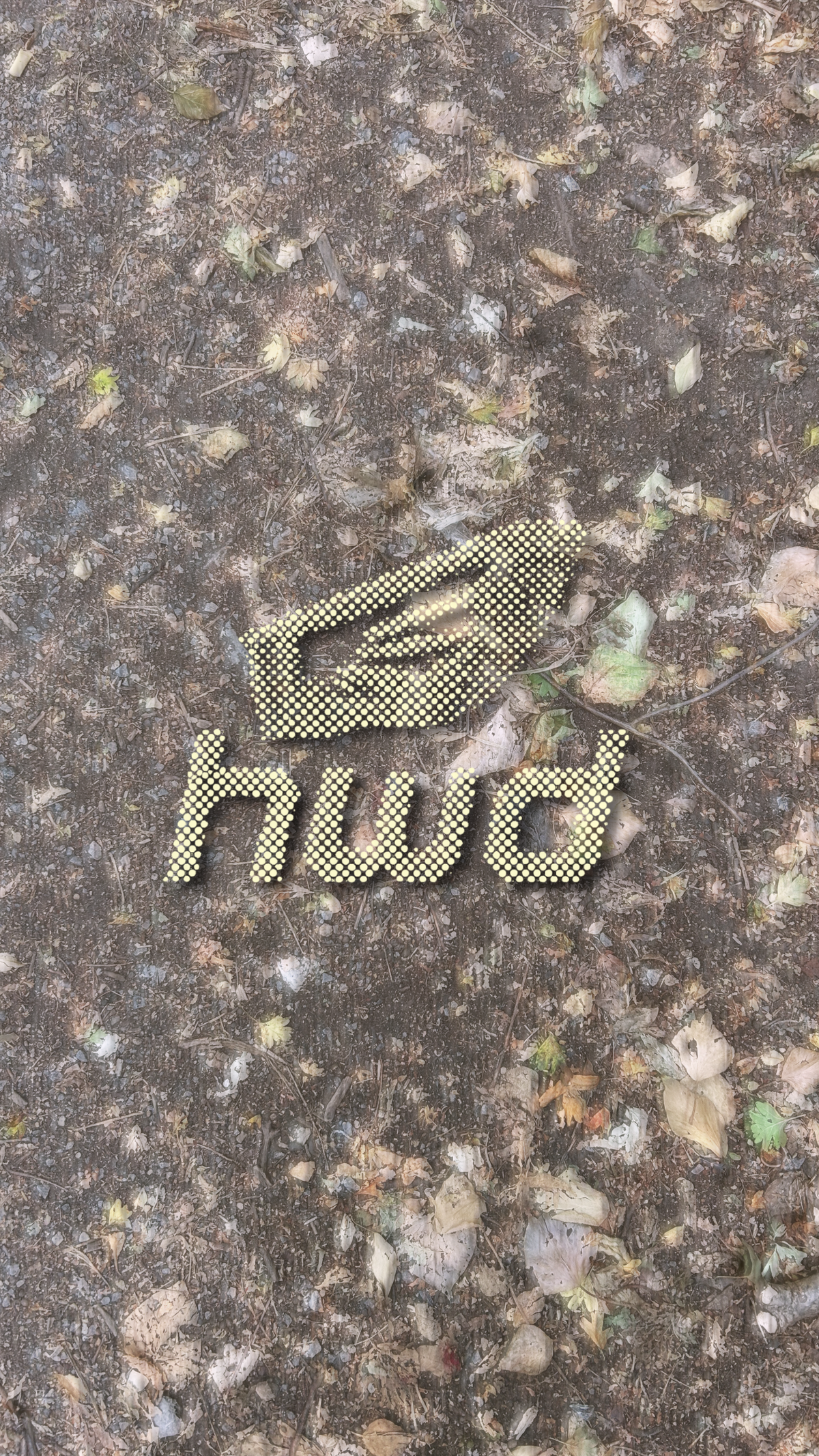 Free iPhone Wallpaper Download